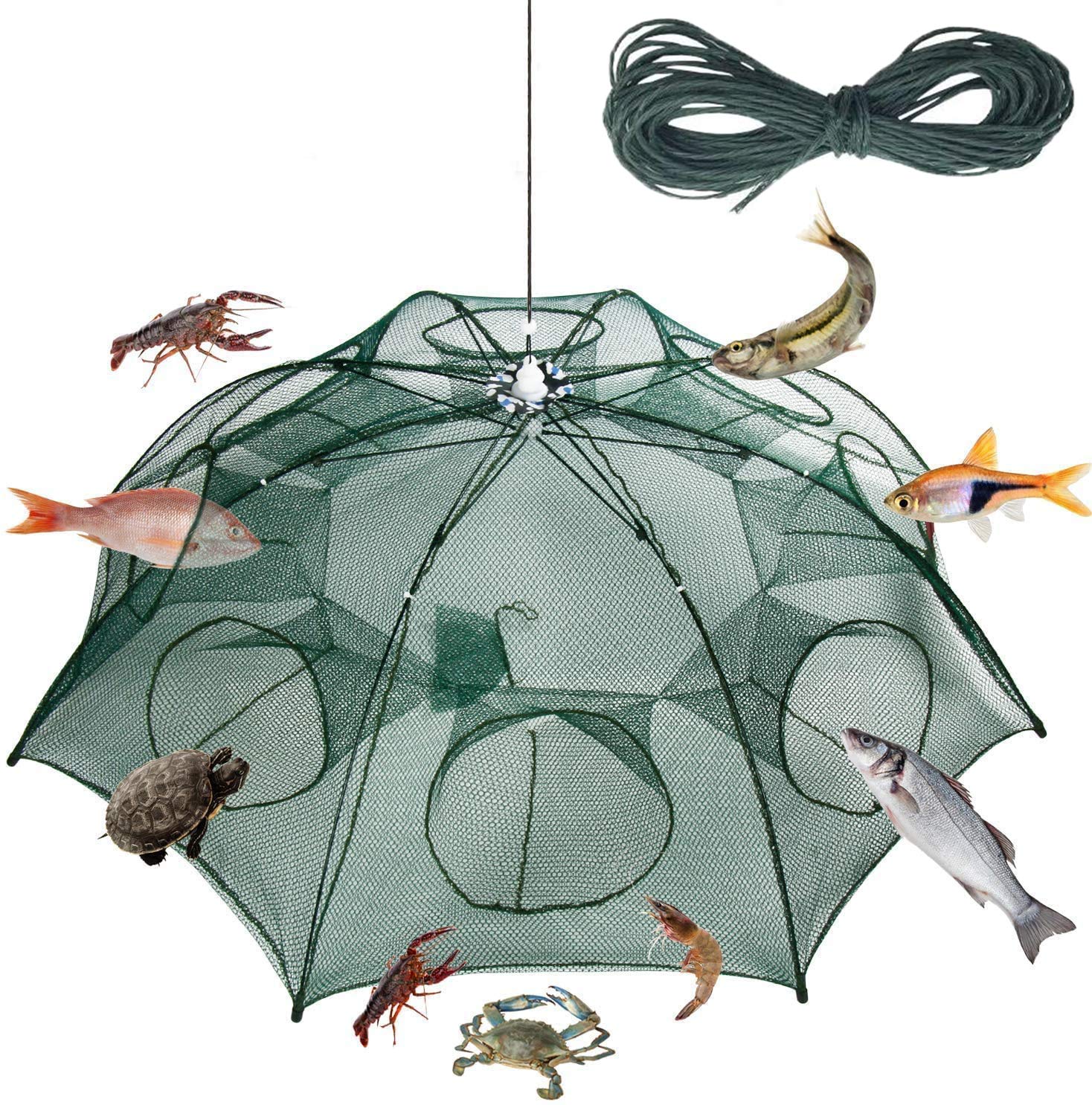ELEPHANTBOAT Light 8 Side Bait Fishing Trap, Portable Folded Fishing Net, Shrimp Minnow Crayfish Crab Baits Cast Mesh Trap Automatic ELEPHANTBOAT Light 8 Side Bait Fishing Trap, Portable Folded Fishing Net, Shrimp Minnow Crayfish Crab Baits Cast Mesh Trap Automatic